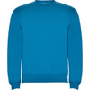 A blue sweatshirt featuring a crew neck and long sleeves. It includes a logo on the front.