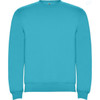 A turquoise sweatshirt with a crew neck and ribbed cuffs, featuring a logo on the chest.