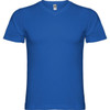 A blue t-shirt with a v-neck design. The shirt features a label at the neckline and has a solid colour.