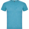 A blue t-shirt with a round neck and short sleeves. It features a small logo on the collar.