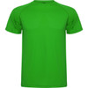 A green Montecarlo T-Shirt with short sleeves and a round neckline. It features a logo on the front.