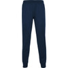 Navy track pants with an elastic waistband and cuffed ankles, featuring a logo. Suitable for casual and athletic wear.