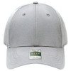 A silver six-panel cap featuring a curved brim and an adjustable strap at the back, with a logo on the front.