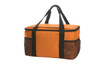 An orange cooler bag with black straps and mesh sides, featuring a zippered top and ample storage space.