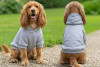 A grey hoodie designed for dogs is displayed on two cocker spaniels, showcasing front and back views in a grassy setting.