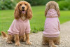 A pink dog hoodie on a golden cocker spaniel, showing both front and back views in a garden setting.
