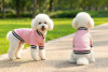 A pink varsity jacket with black stripes, worn by two fluffy dogs in a grassy outdoor setting.
