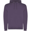 A purple hooded sweatshirt with a front pocket and drawstring hood, featuring a logo on the front.