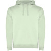 A light green hooded sweatshirt featuring a front pouch pocket and drawstrings. It includes a logo.