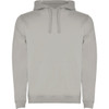 A light grey hooded sweatshirt with a kangaroo pocket and a drawstring hood. It features a logo on the front.