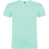 A mint green t-shirt with a crew neck and short sleeves, featuring a logo on the neckline.