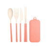 A travel utensils set featuring a spoon, fork, knife, and chopsticks with coral handles, and a matching storage case.