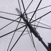 A transparent eight-panel umbrella with a black frame, showcasing the inner structure and spokes.