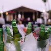 An ice bucket containing several green bottles, set against a blurred outdoor background. The bucket has a transparent design.