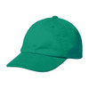 A green cap with a curved brim and a fitted design, featuring a logo on the front.