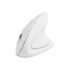 An ergonomic wireless mouse in white, featuring a sleek, modern design and a curved shape for comfort.