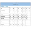 A size chart for a polyester micro mesh V-neck raglan sport tee, listing measurements for men, women, and kids.