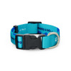 A turquoise dog collar with a black buckle and silver D-ring, featuring a playful design. It has a logo.