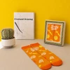 A framed picture in a decorative frame, with orange-patterned socks displayed beside a cactus and a drawing book.