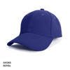 A royal blue cap with a structured design, featuring a logo on the front.