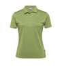 A women's Dri Gear Vanquish polo shirt in light green with a subtle striped pattern and a logo on the collar.