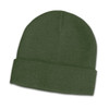 A green beanie with a folded cuff, featuring a subtle logo on the side.