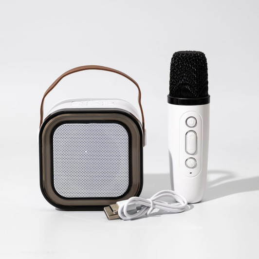 A white portable karaoke machine with a speaker, connected microphone, and USB cable, featuring a brown handle.