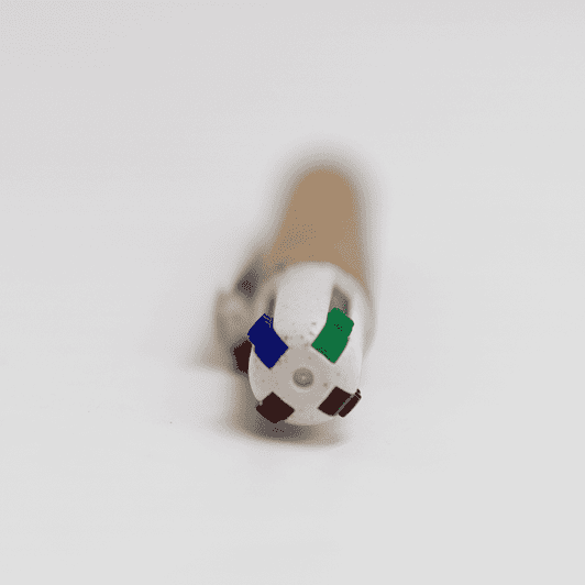 A cork pen with four colour options: blue, green, black, and red, featuring a branded design on the cap.