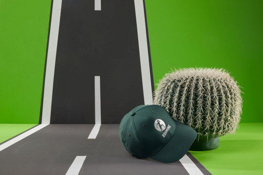 A dark green 6 panel polyester cap with a logo, placed near a cactus on a stylised road backdrop.