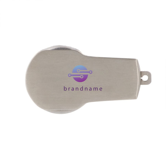 A metallic silver flash drive with a rounded design and a branding logo on the surface.