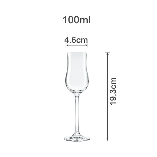 A clear tulip wine glass with measurements of 19.3cm height and 4.6cm diameter, designed for 100ml capacity.