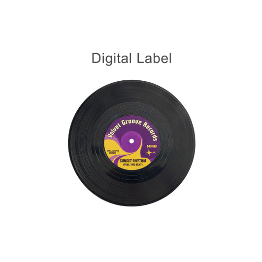 A black vinyl record featuring a purple and yellow label with a logo and the title "Sunset Rhythm (Feel the Beat)".