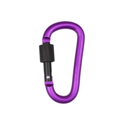 A purple D-shaped screw lock keychain with a black locking mechanism. It has a smooth, metallic finish.
