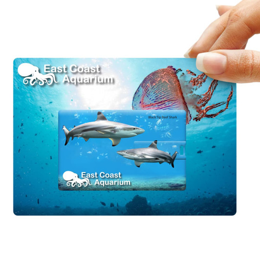 A promotional credit card-shaped flash drive featuring a blue underwater scene with sharks and jellyfish, including a logo.