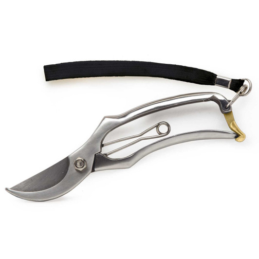 A pair of stainless steel secateurs with a black strap and a metal clasp for ease of carrying.