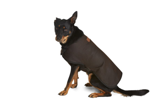 A dog wearing a brown oilskin raincoat, seated and looking to the side against a white background.