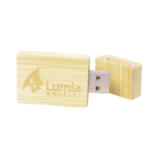 A bamboo USB drive featuring a silver connector and a logo, showcasing natural hues of light and dark bamboo.