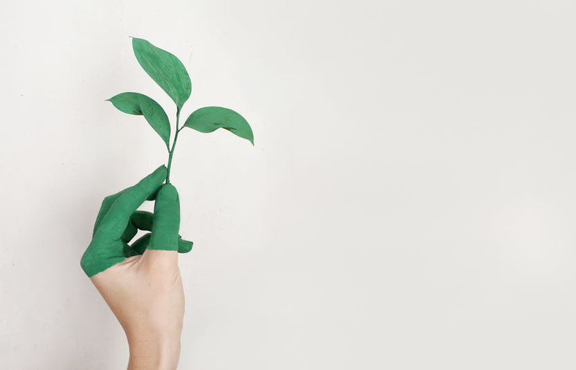 Why Choosing Eco-Friendly Promotional Products Could Be a Great Marketing Strategy