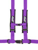 PRP 4.2 Harness- Purple