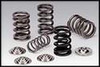 Supertech Single Valve Spring and Retainer Kit