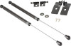 TR Carbon Fiber Hood Dampers EVO 8/9