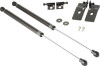 TR Carbon Fiber Hood Dampers BRZ/FRS/FT86