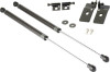 TR Carbon Fiber Hood Dampers 370Z