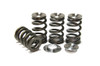 GSC BRZ/FRS/86 Beehive Valve Spring Kit