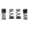 FactionFab F-Spec Performance Lowering Springs BRZ / FR-S / 86