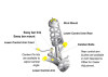 Whiteline Steering Precision Kit | 2001-2006 Mitsubishi Evo 7-9