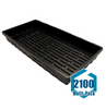 Mondi Propagation Tray 10 x 20 - w/ Holes : 2100 pack