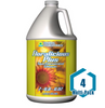 GH Floralicious Plus Gallon: 4 pack