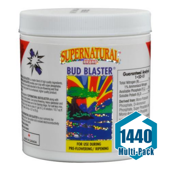 Supernatural Bud Blaster 100 gm: 1440 pack