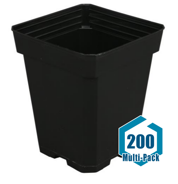 Gro Pro Black Plastic Pot 5 in x 5 in x 6.5 in: 200 pack